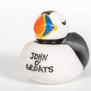 John O' Groats Puffin