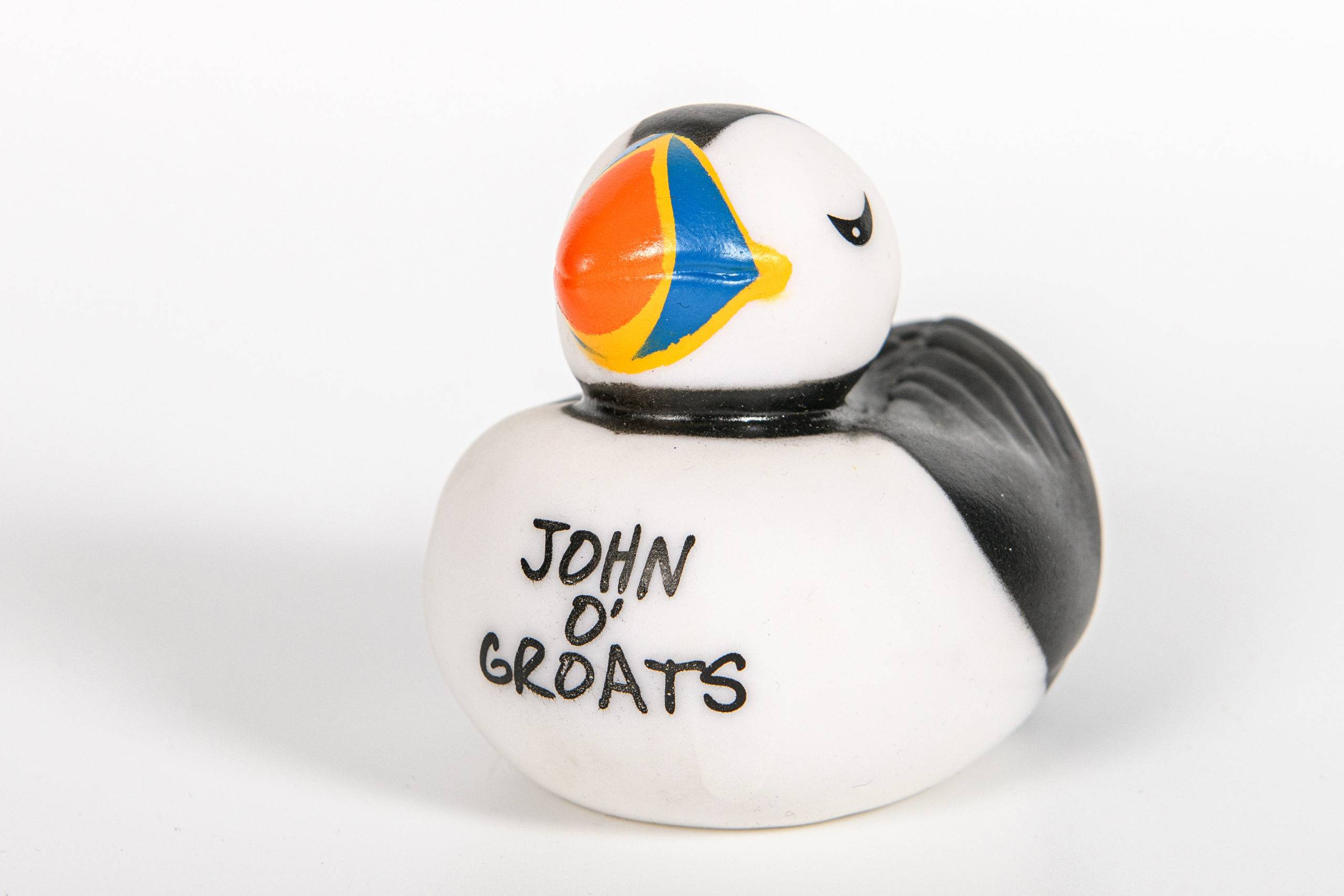 John O' Groats Puffin