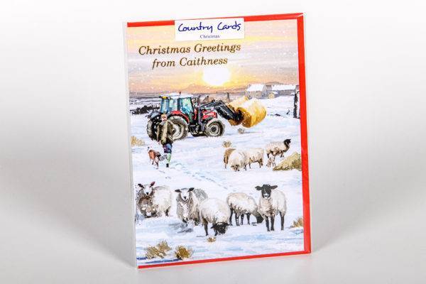 Caithness Christmas Cards - Various designs